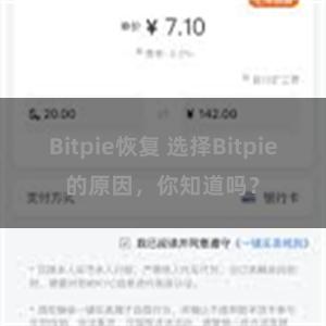 Bitpie恢复 选择Bitpie的原因，你知道吗？