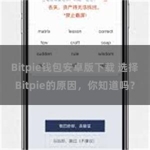 Bitpie钱包安卓版下载 选择Bitpie的原因，你知道吗？